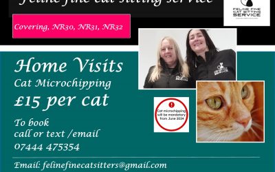 Home Visits for Cat and Kitten Microchipping